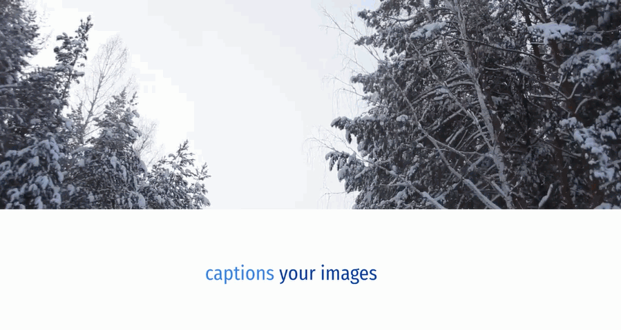 Include captions with your images.