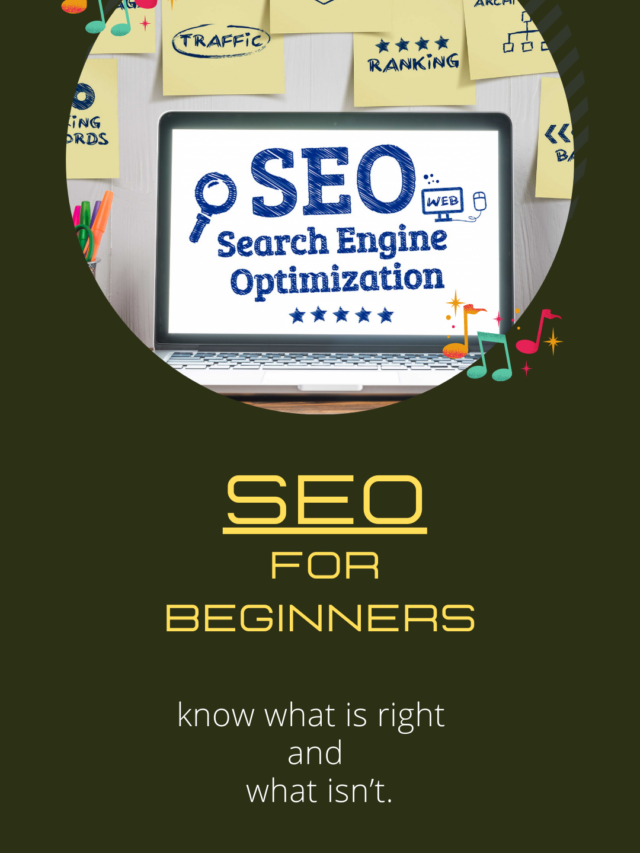 SEO For Beginners: Learn the Secrets of Seo Pros!