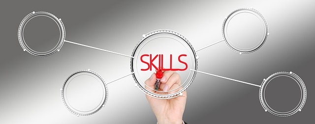 What Are SEO Skills?